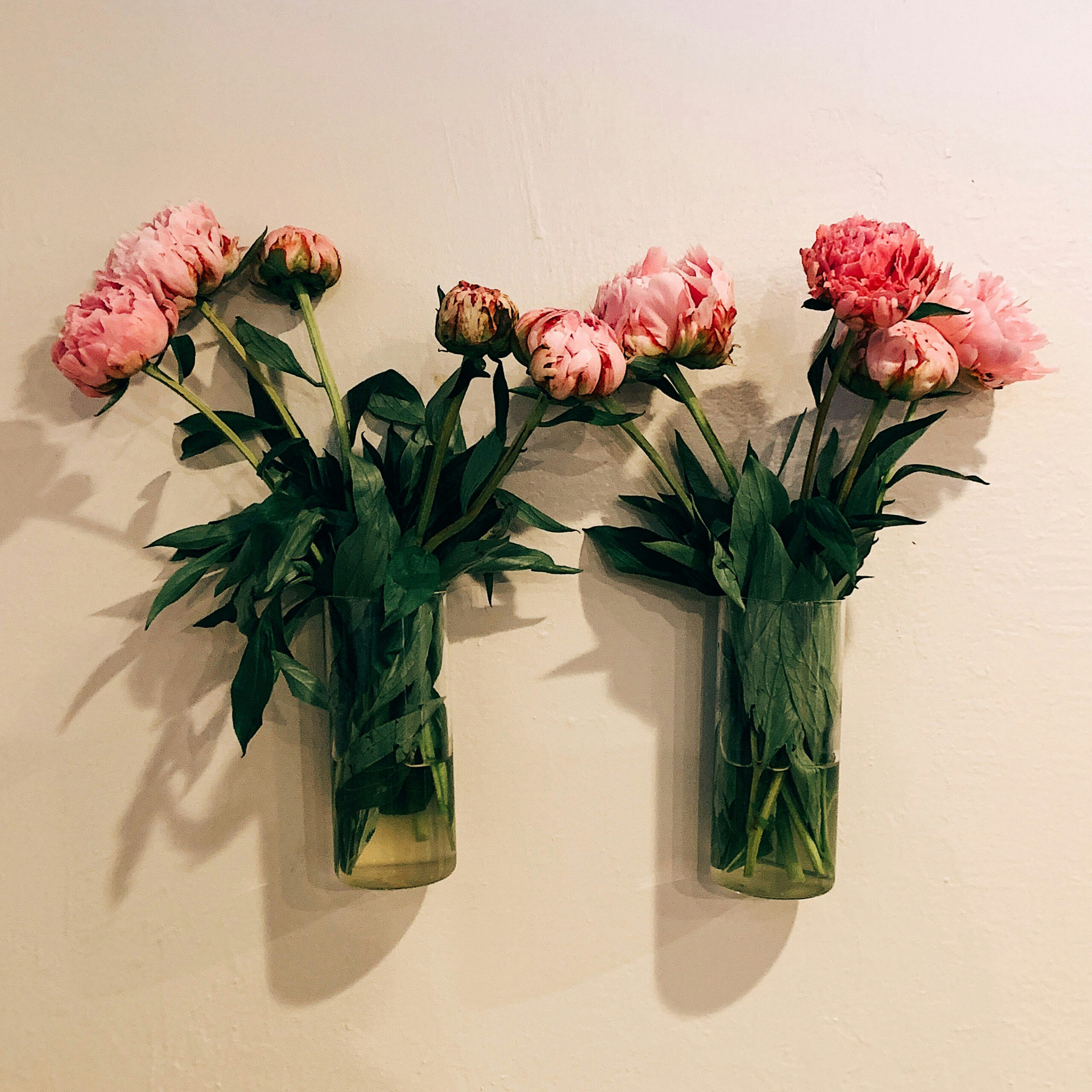 unique & novelty items